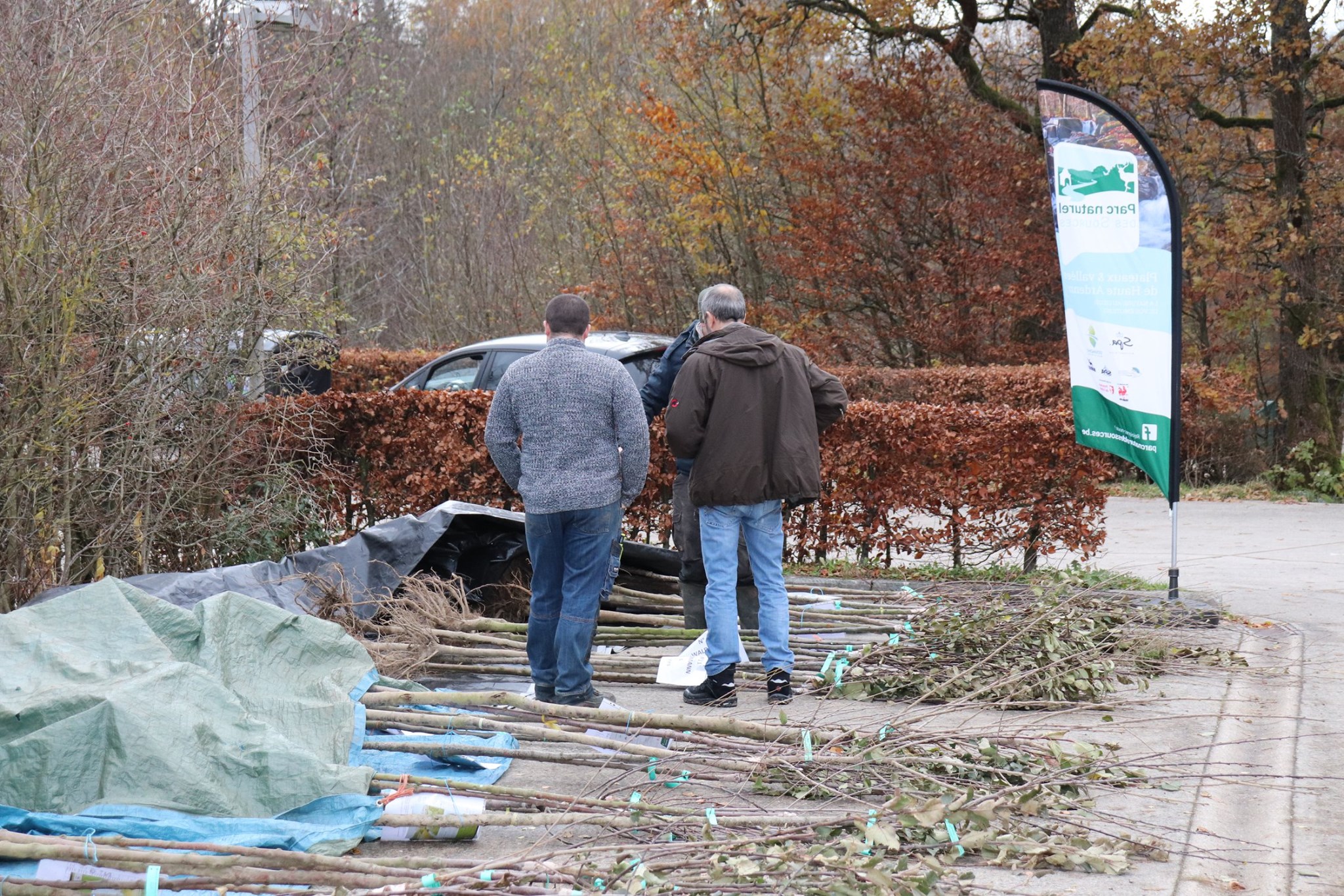 Des conseils pour bien planter son arbre