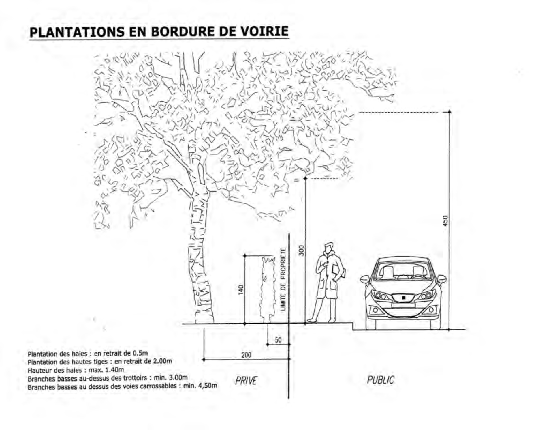 Plantation en bordure de voirie