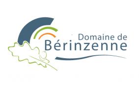 Berinzenne