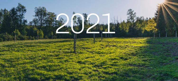 Première page du RA 2021