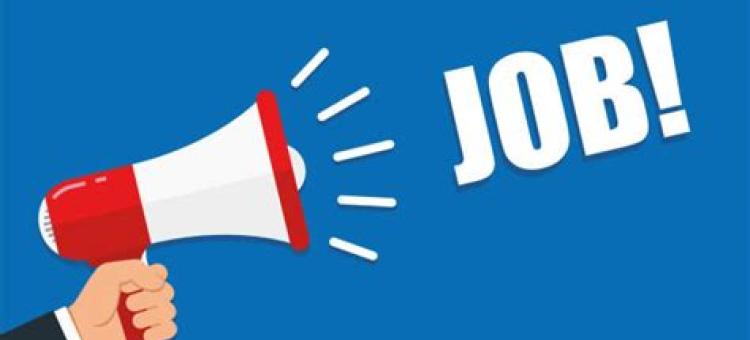 Job alert !